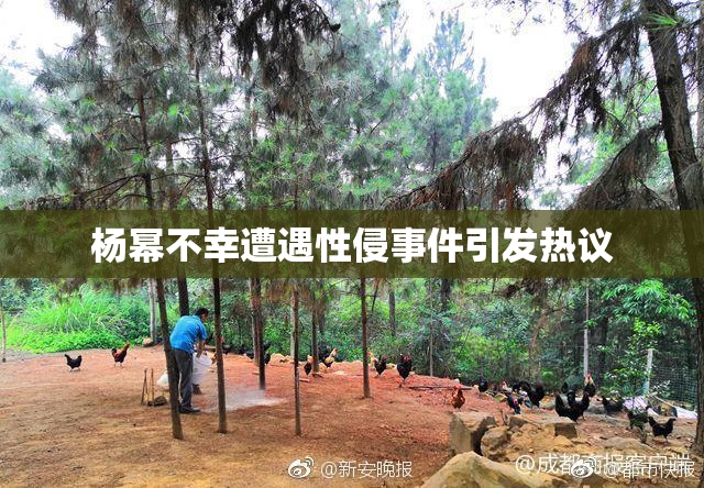 杨幂不幸遭遇性侵事件引发热议