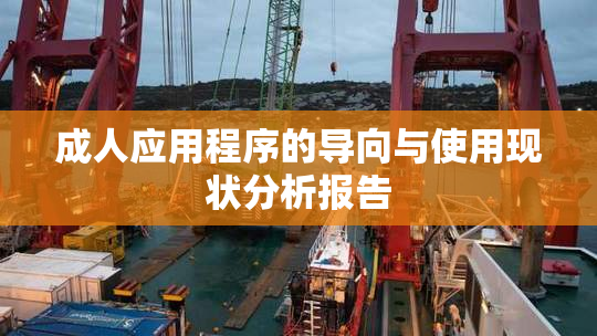 成人应用程序的导向与使用现状分析报告