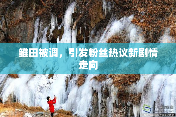 雏田被调，引发粉丝热议新剧情走向