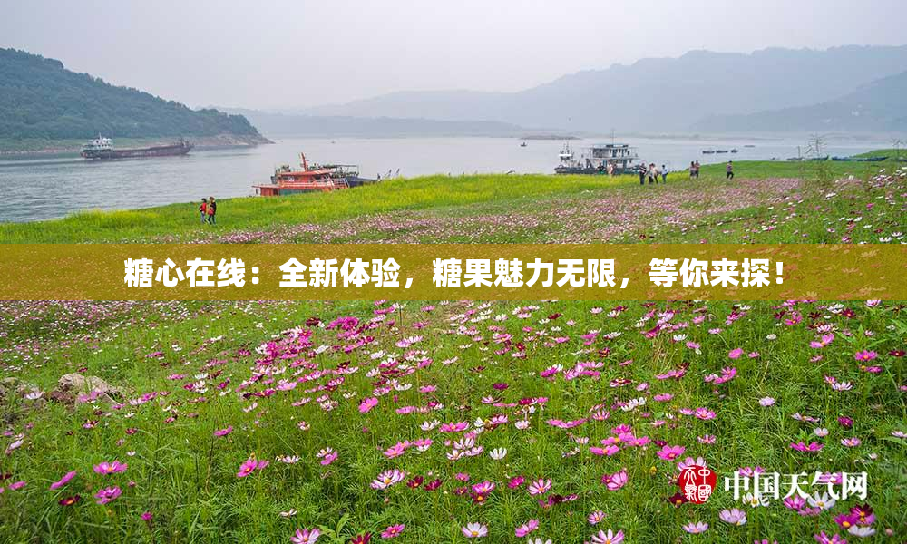 糖心在线：全新体验，糖果魅力无限，等你来探！