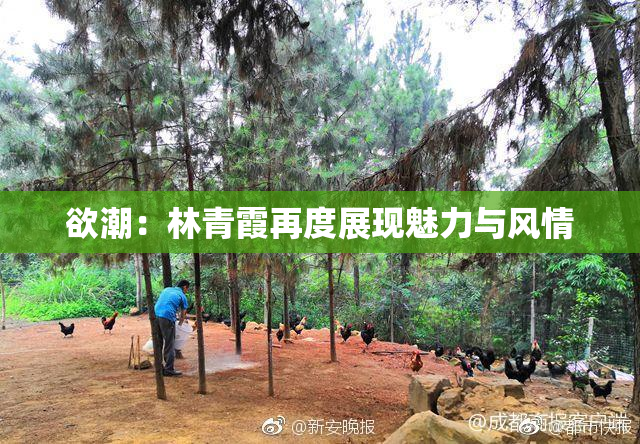 欲潮：林青霞再度展现魅力与风情
