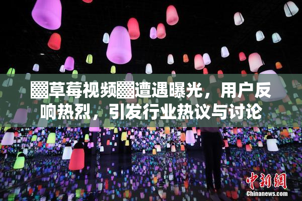 ▓草莓视频▓遭遇曝光，用户反响热烈，引发行业热议与讨论
