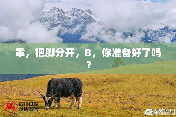 乖，把脚分开，B，你准备好了吗？
