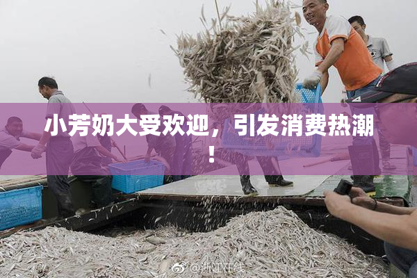 小芳奶大受欢迎，引发消费热潮！