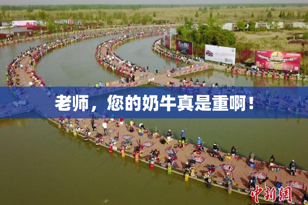 老师，您的奶牛真是重啊！