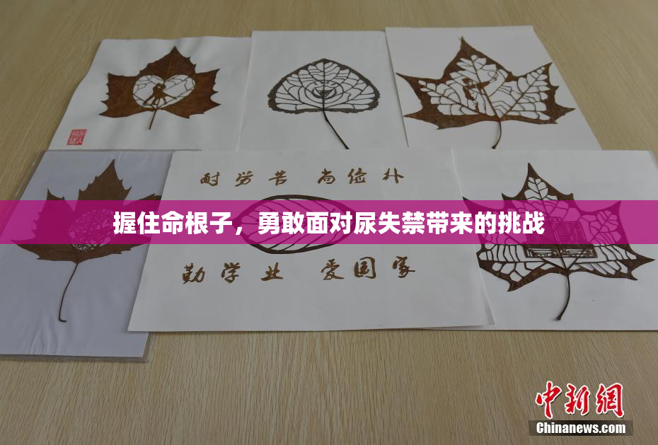 握住命根子，勇敢面对尿失禁带来的挑战