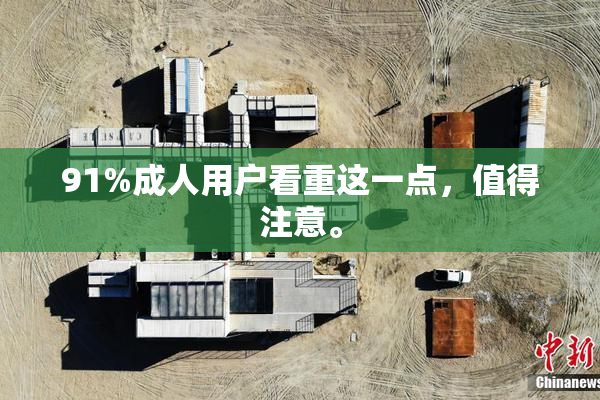 91%成人用户看重这一点，值得注意。