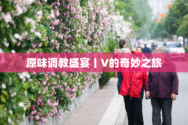 原味调教盛宴丨V的奇妙之旅