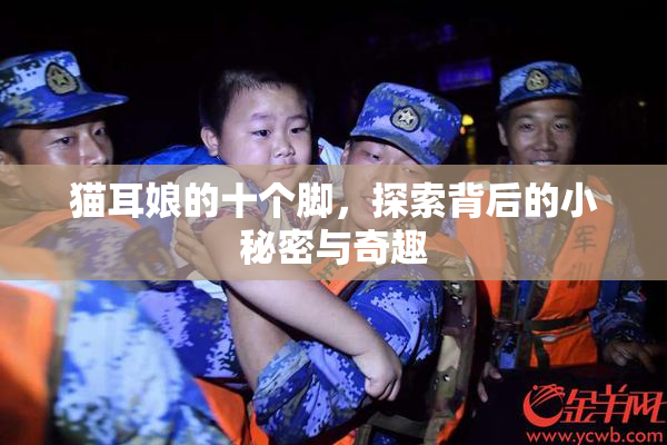 猫耳娘的十个脚，探索背后的小秘密与奇趣