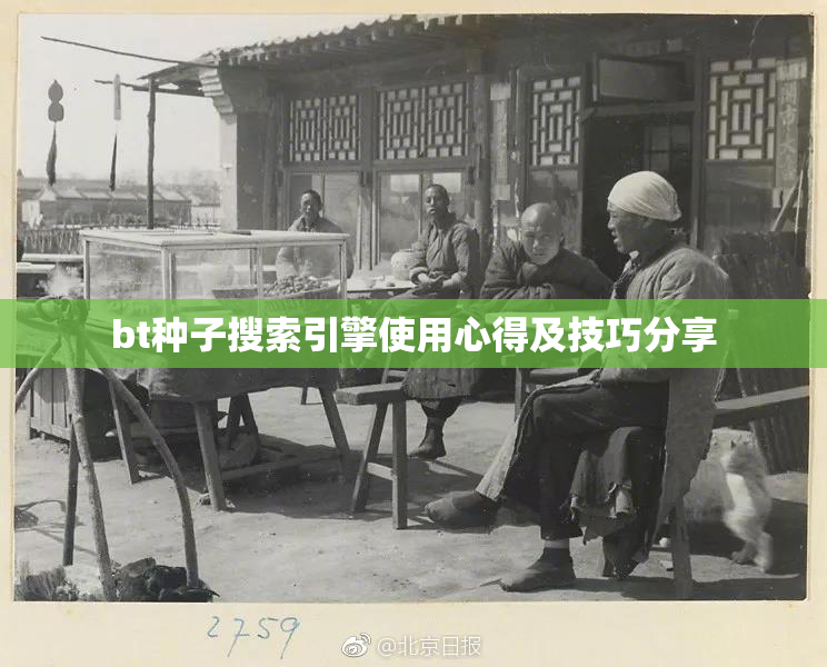 bt种子搜索引擎使用心得及技巧分享