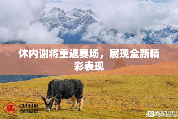 休内谢将重返赛场，展现全新精彩表现