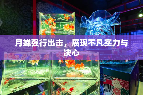 月婵强行出击，展现不凡实力与决心