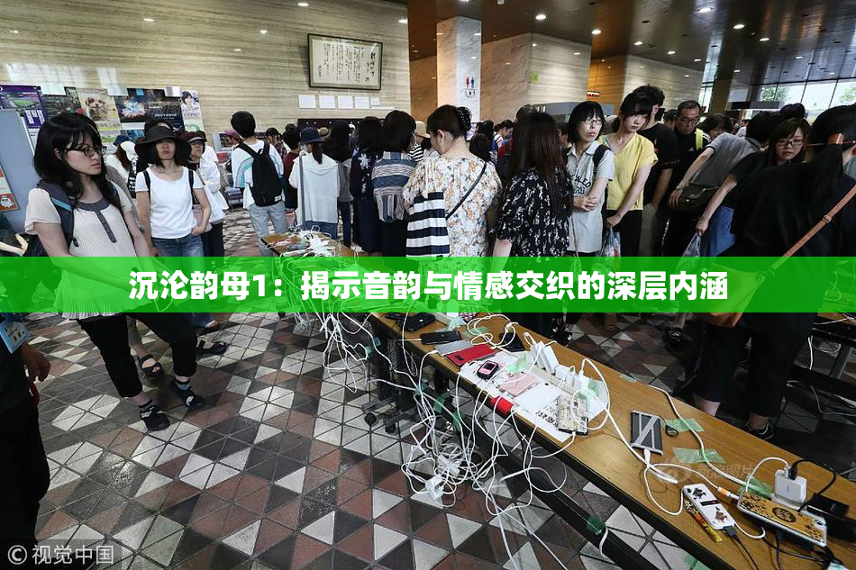 沉沦韵母1：揭示音韵与情感交织的深层内涵
