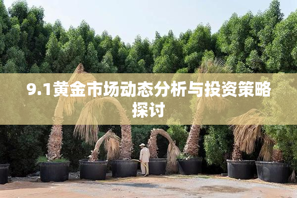 9.1黄金市场动态分析与投资策略探讨