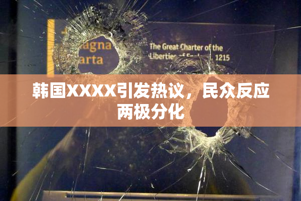 韩国XXXX引发热议，民众反应两极分化