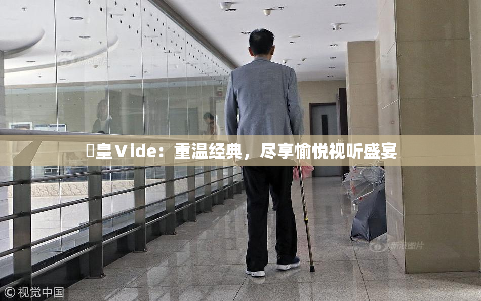 嘼皇Ⅴide：重温经典，尽享愉悦视听盛宴
