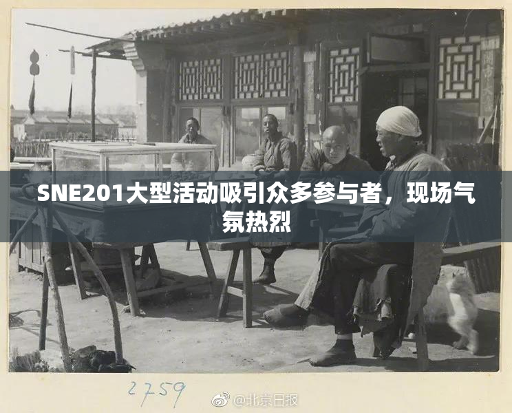 SNE201大型活动吸引众多参与者，现场气氛热烈