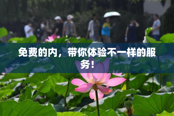 免费的内，带你体验不一样的服务！