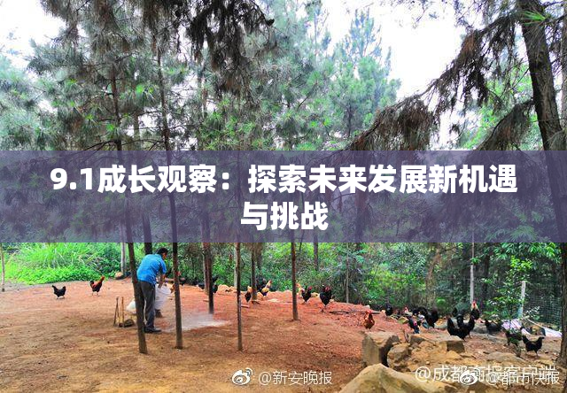 9.1成长观察：探索未来发展新机遇与挑战
