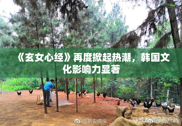 《玄女心经》再度掀起热潮，韩国文化影响力显著
