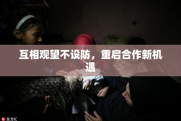 互相观望不设防，重启合作新机遇