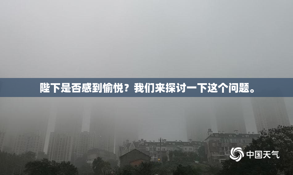 陛下是否感到愉悦？我们来探讨一下这个问题。