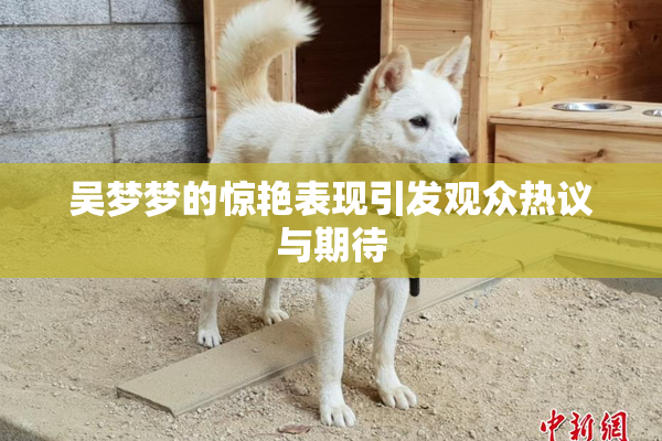 吴梦梦的惊艳表现引发观众热议与期待