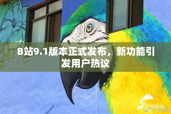 B站9.1版本正式发布，新功能引发用户热议
