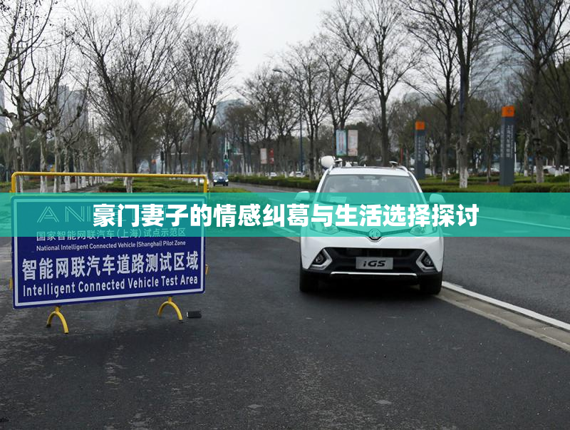 豪门妻子的情感纠葛与生活选择探讨