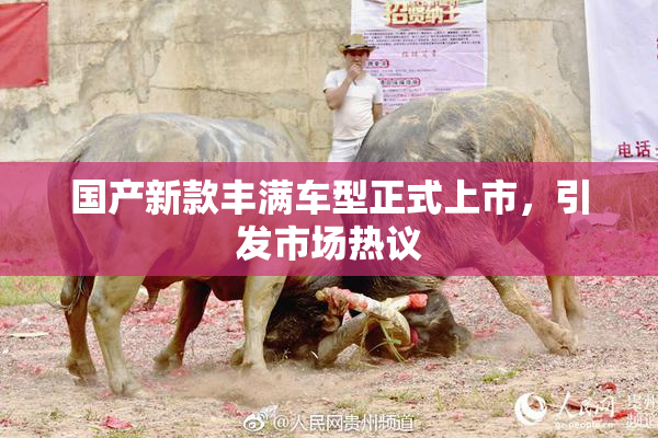 国产新款丰满车型正式上市，引发市场热议