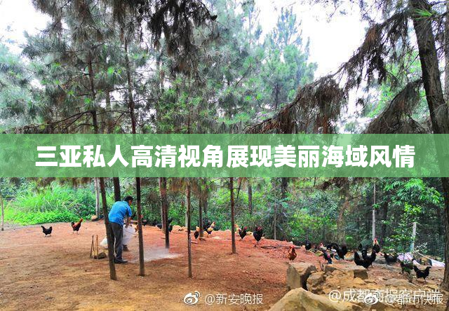 三亚私人高清视角展现美丽海域风情
