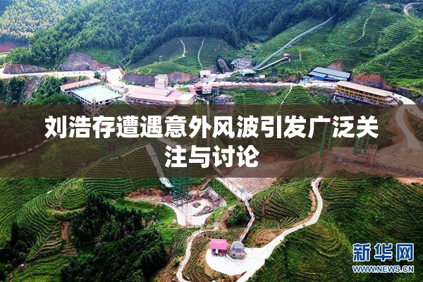 刘浩存遭遇意外风波引发广泛关注与讨论