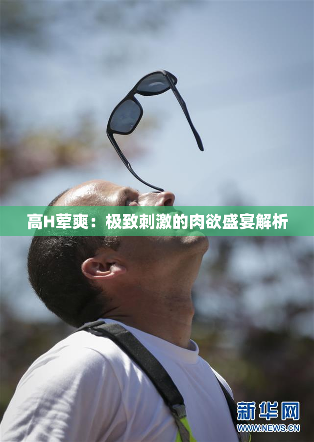 高H荤爽：极致刺激的肉欲盛宴解析