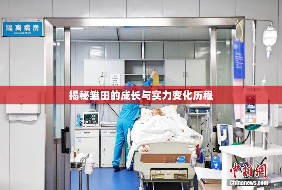 揭秘雏田的成长与实力变化历程