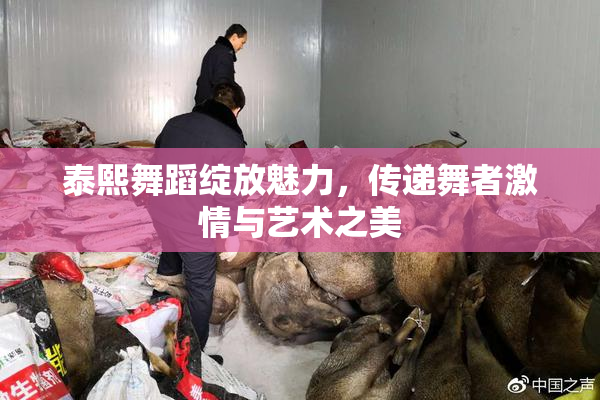 泰熙舞蹈绽放魅力，传递舞者激情与艺术之美