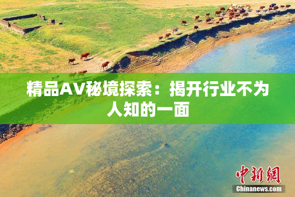 精品AV秘境探索：揭开行业不为人知的一面