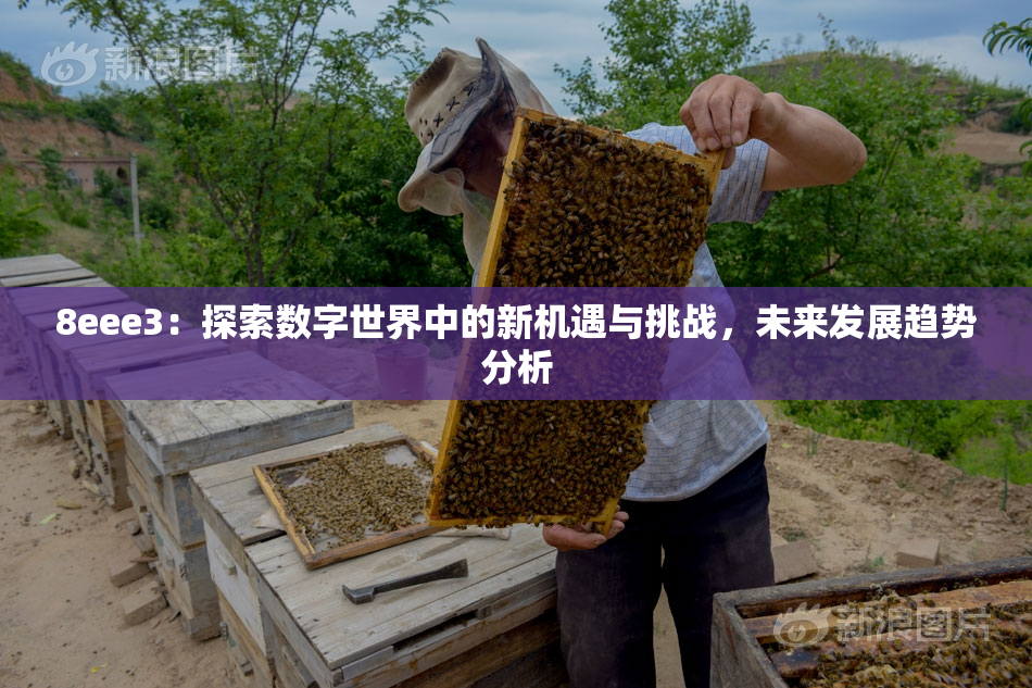 8eee3：探索数字世界中的新机遇与挑战，未来发展趋势分析