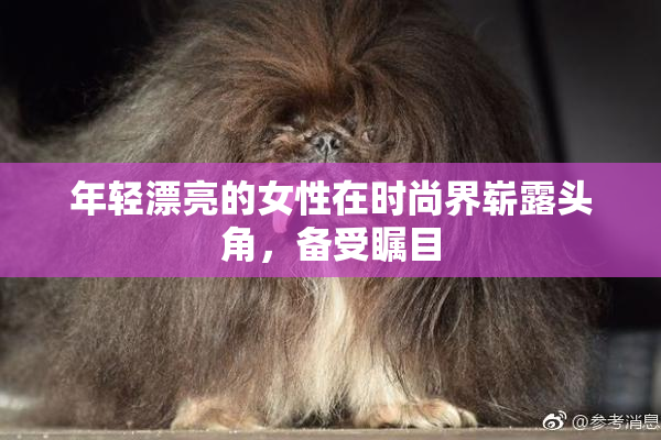 年轻漂亮的女性在时尚界崭露头角，备受瞩目