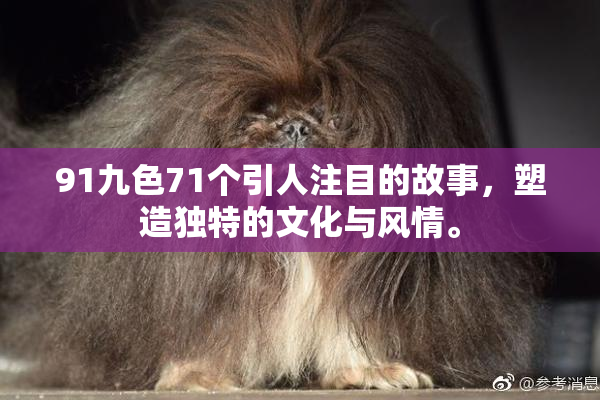 91九色71个引人注目的故事，塑造独特的文化与风情。
