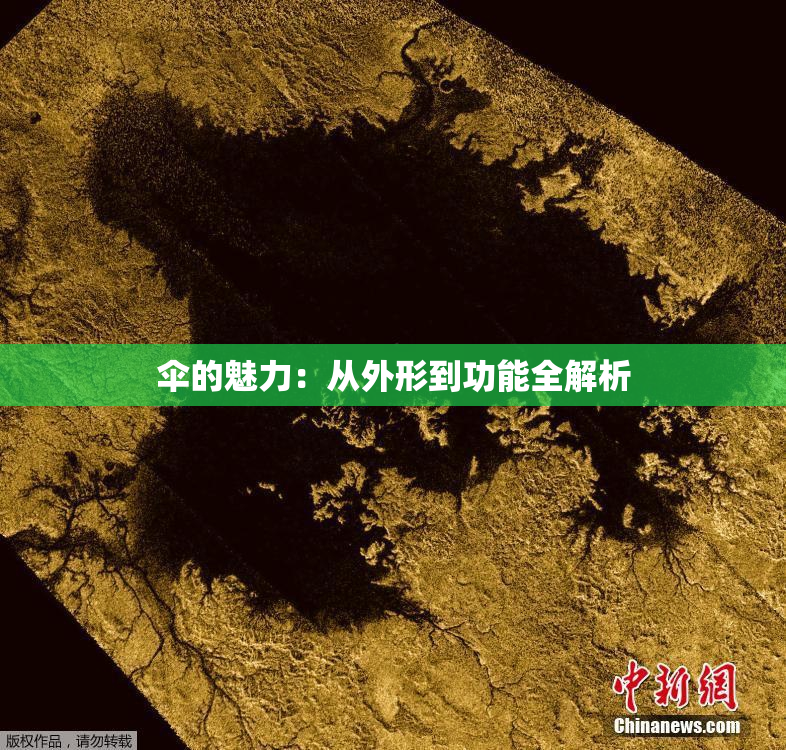 伞的魅力：从外形到功能全解析
