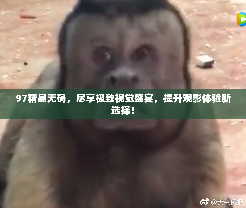 97精品无码，尽享极致视觉盛宴，提升观影体验新选择！