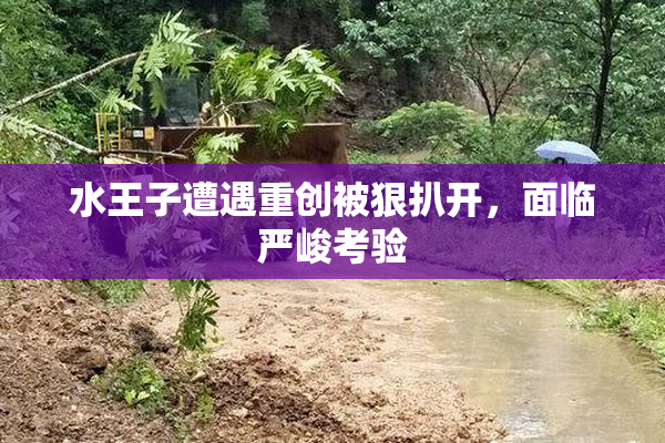 水王子遭遇重创被狠扒开，面临严峻考验