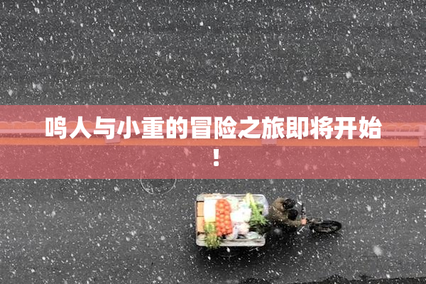 鸣人与小重的冒险之旅即将开始！