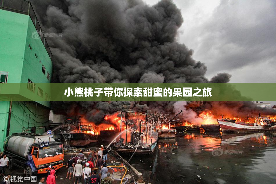 小熊桃子带你探索甜蜜的果园之旅