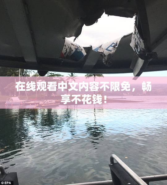 在线观看中文内容不限免，畅享不花钱！