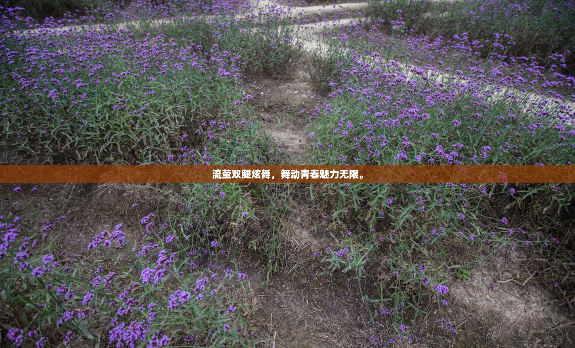 流萤双腿炫舞，舞动青春魅力无限。