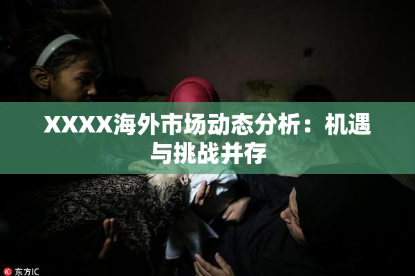 XXXX海外市场动态分析：机遇与挑战并存