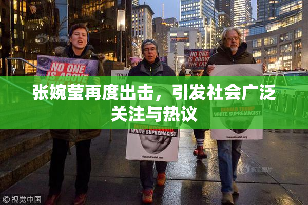 张婉莹再度出击，引发社会广泛关注与热议