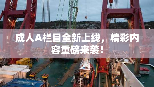 成人A栏目全新上线，精彩内容重磅来袭！