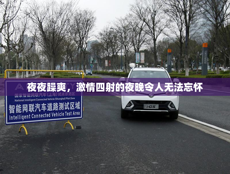 夜夜躁爽，激情四射的夜晚令人无法忘怀